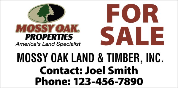 real estate full color vinyl banner with grommets, 48h x 96w